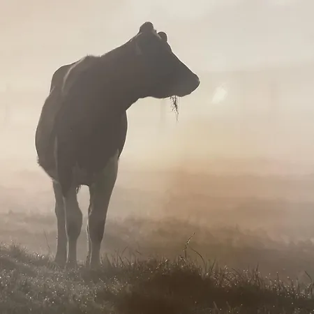 Westerwaldhaus Apartament Gieleroth