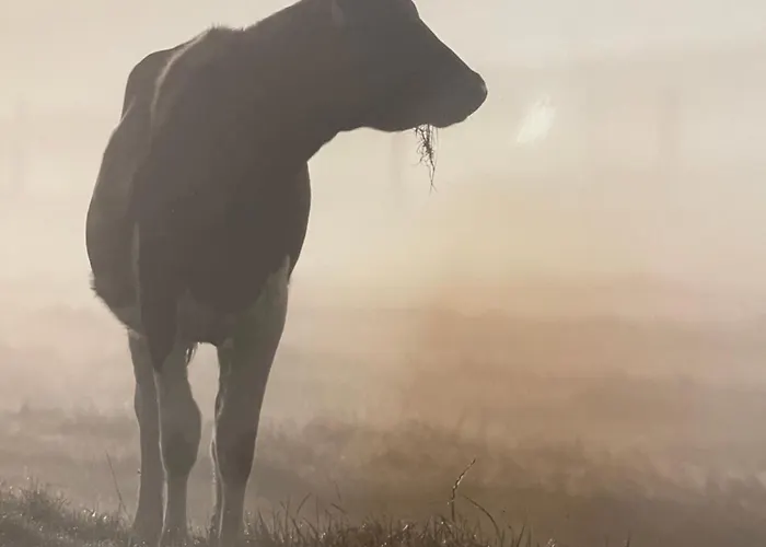 Westerwaldhaus شقة Gieleroth